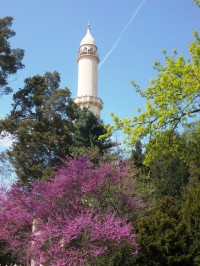 minaret, jarné stromy