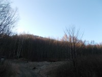 Návštěva přírodní rezervace Březina.