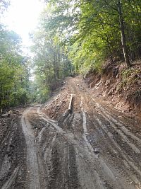 Zničená cesta a svahy od těžby dřeva.