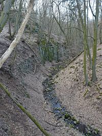 Další pohled do rokle na Moravanský potok.