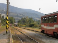 Trstie z železniční stanice v Tisovci.