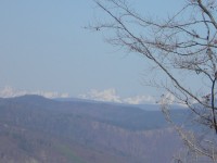 Pohled na Vysoké Tatry z hory Tŕstie.
