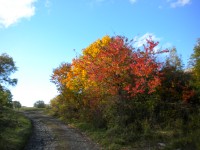 podzimní příroda na Zbožné