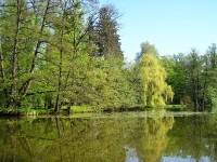 Kroměříž-Podzámecká zahrada na jaře