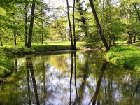 Kroměříž-Podzámecká zahrada na jaře