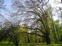 Kroměříž-Podzámecká zahrada na jaře