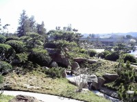 japonské zahrady