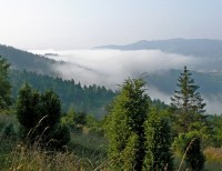 Zborov nad Bystricou - Pohled z Jaseňa k Backovým brehom