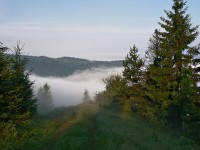 Zborov nad Bystricou - Lesní cesta z Jaseňa do dediny