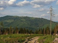 Zborov nad Bystricou - Pohled z Jedličníka směrem na Starou Bystricu a V. Raču