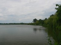 Rybník Bezruč v létě