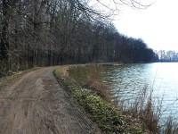 Cestička podél břehu rybníka Podhorník