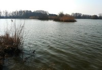 Rybník Podhorník
