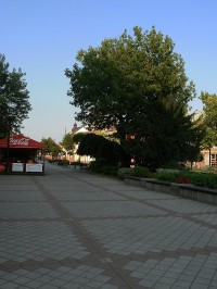 Pěší zóna v Michalovcích