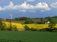 Pohledem ze stezky - Důl Staříč