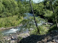 Stará Bystrica. Řeka Bystrica z cyklotrasy