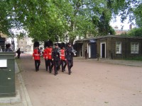 Buckingham Palace - královská stráž
