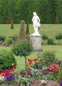 Hampton Court palace - zahrady