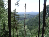 Hřensko - Gabrielina stezka, pohled do údolí