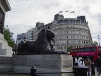 Trafalgar Square - socha lva  