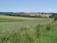 Pohled na Sobotku ze silnice od Vesce