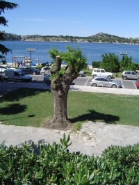 Šibenik