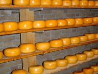 Alida - výroba sýrů