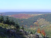 Flájská přehrada - podzimní les nad přehradou