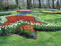 Keukenhof