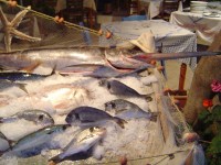 Matala - čerstvé ryby