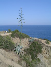 Lloret de Mar - Cala Banys