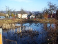 Posluchov-náves s rybníkem-Foto:Ulrych Mir.