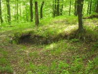 Hluboký-prohlubeň v hradním jádře-Foto:Ulrych Mir.