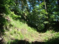 Kružberk-hrad-lesní cesta příkopem