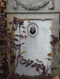 Holice-nový hřbitov-náhrobek Františka Musila s Pannou Marií-detail-Foto:Ulrych Mir.