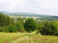 Hlubočky-Mariánské Údolí nad sídlištěm-pohled na návrší Nad suchou loukou a Skalka-Foto:Ulrych Mir.