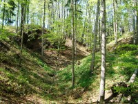 Vildštejn-hradní příkop v západní části hradu-Foto:Ulrych Mir.