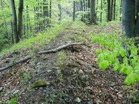 Vildštejn-val v severovýchodní části hradu-Foto:Ulrych Mir.