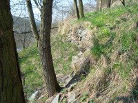 Medlice-zbytky hradeb na jižním svahu hradního vrchu-Foto:Ulrych Mir.