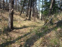 Šternek-jeden z hradních příkopů-Foto:Ulrych Mir.