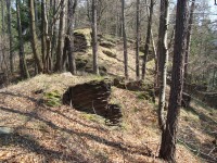 Šternek-skalnatý hřeben hradního vršku od severozápadu-Foto:Ulrych Mir.