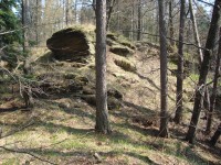 Šternek-příkop a vršek předhradí v západní části hradu-Foto:Ulrych Mir.