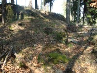 Šternek-podlouhlá prohlubeň se zbytky zdí na východním konci hradního vršku-Foto:Ulrych Mir.