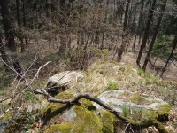 Šternek-jihovýchodní svah hradního vršku s Bilčickým potokem-Foto:Ulrych Mir.