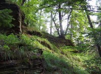 Šternek-jižní strana hradního vršku se zbytky zdí-Foto:Ulrych Mir.