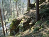 Šternek-skála na jihozápadním svahu hradního vršku s lesní cestou a Bilčickým potokem-Foto:Ulrych Mir. 