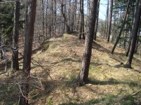 Šternek-skalnaté předhradí v západní části hradního vršku-Foto:Ulrych Mir.