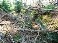 Šternek-zbytky zdiva v příkopu na předhradí-Foto:Ulrych Mir.