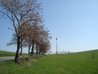 Větrná elektrárna na úpatí Červené hory u křižovatky na Rejchartice ze silnice ze Staré Libavé-Foto:Ulrych Mir.