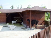 Bystrovany-Přírodní ráj Horizont-arboretum s výběhem s Kašmírskými kozami a lamami-Foto:Ulrych Mir.